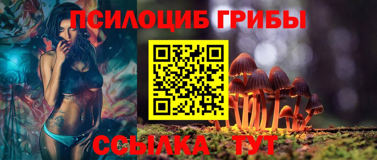Псилоцибиновые грибы мицелий Верхняя Салда
