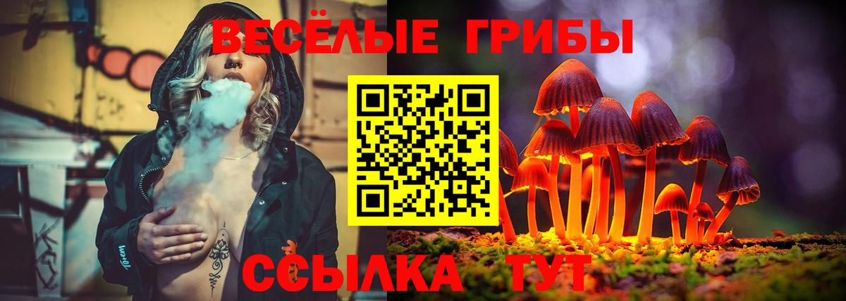 Псилоцибиновые грибы GOLDEN TEACHER  Вход с VPN  Верхняя Салда 